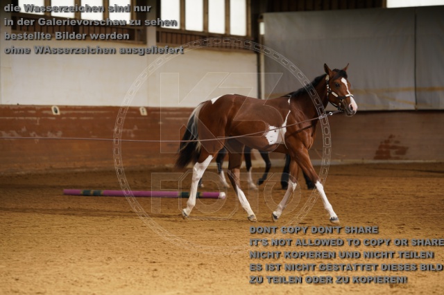 s_K3F01745.JPG